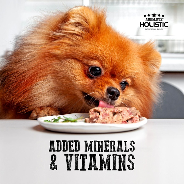 Absolute Holistic Meaty Loaf for Dogs 100g x 16