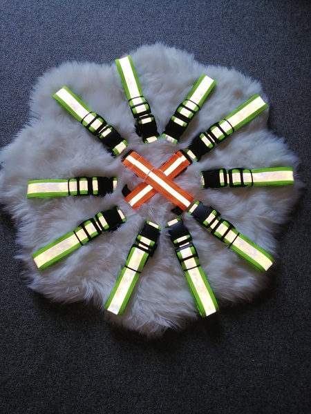 Zeedo Inc Reflective belts picture