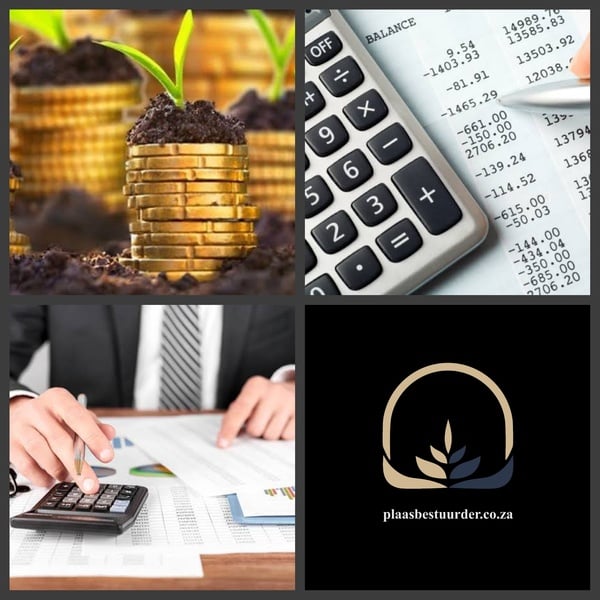 Finansiële en Administratiewe Beampte picture