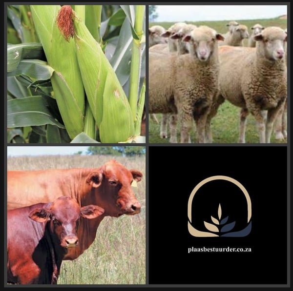 Plaasbestuurder: Gemengde Boerdery picture