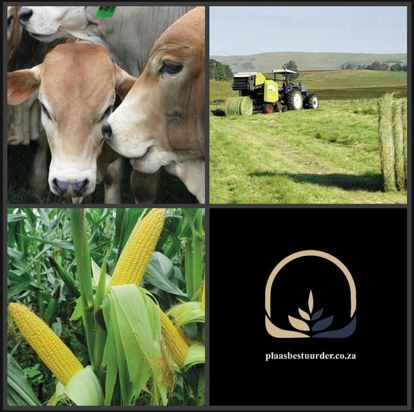 Plaasbestuurder: Gemengde Boerdery picture