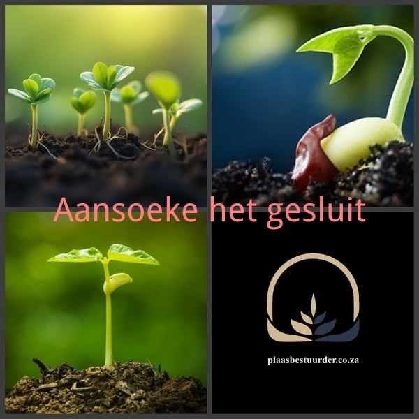 Administratiewe en Operasionelebestuurder picture