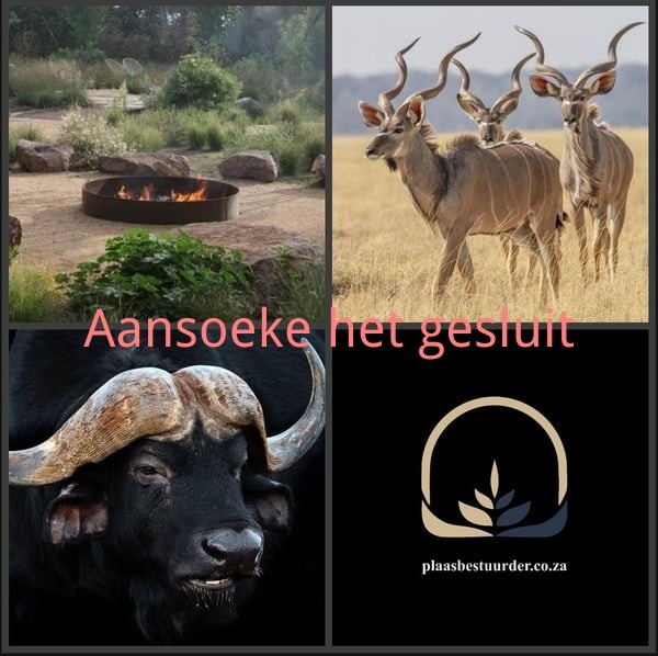 Bestuursegpaar: Wild-, Jag en Lodge picture