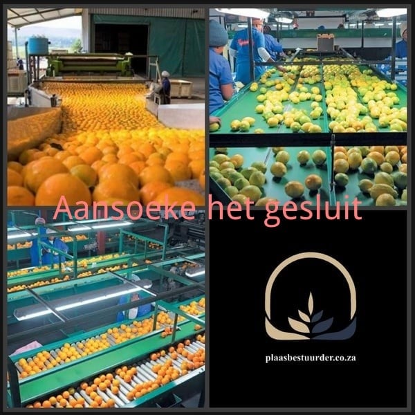 Algemene Bestuurder: Vrugtepakhuis picture