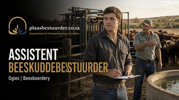 Assistent Beeskuddebestuurder picture