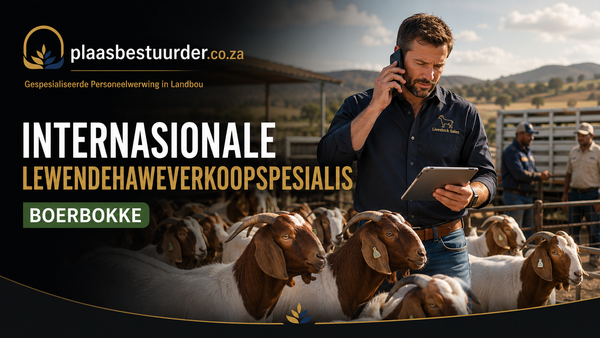 Internasionale Lewendehaweverkoopspesialis: Boerbokke picture