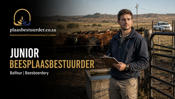 Junior Beesplaasbestuurder picture