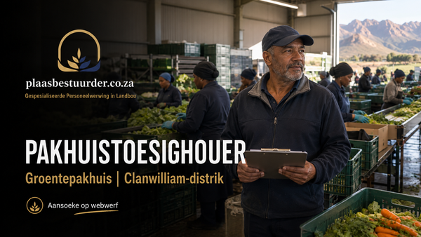 Pakhuistoesighouer: Groentepakhuis  Clanwilliam-distrik picture