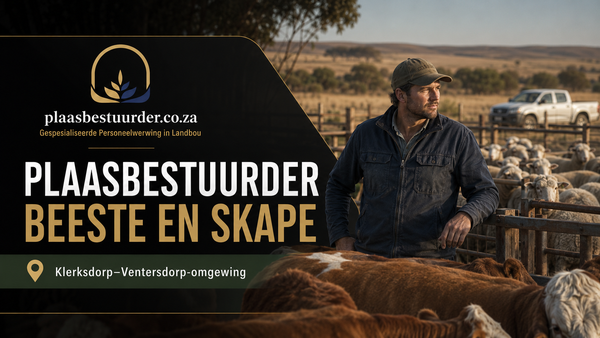 Plaasbestuurder: Beeste en Skape (Klerksdorp–Ventersdorp-omgewing) picture
