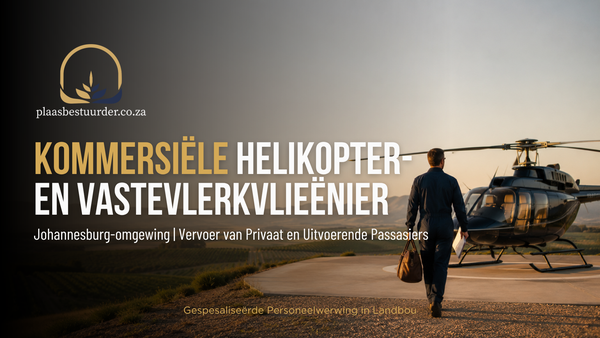 Kommersiële Helikopter- en Vastevlerkvlieënier picture