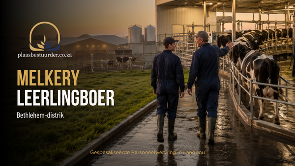Melkery Leerlingboer picture