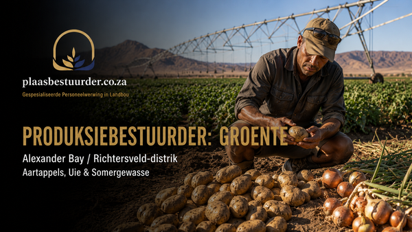 Produksiebestuurder: Groente (Alexander Bay / Richtersveld-distrik) picture