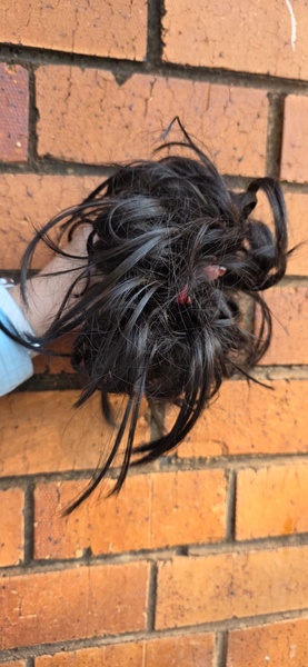 Dark Brown Scrunchie MessyBun(Click on image to view more INFO)