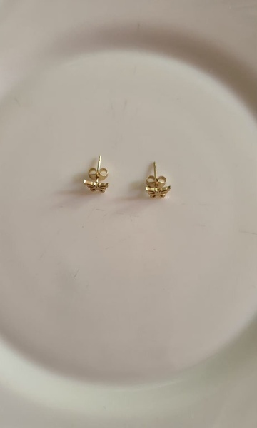 Stainless Steel small Stud Earrings