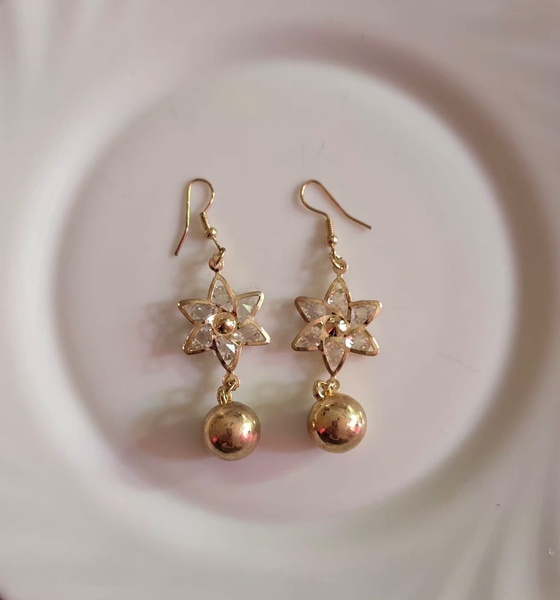 Elegant Earrings
