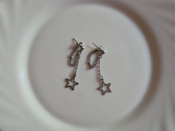 Stainless Steel  Earrings