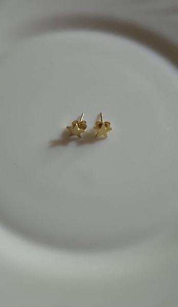 Stainless Steel small Stud Earrings