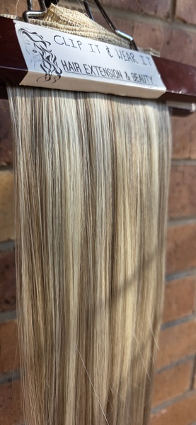 Light Brown - Platinum Blonde mix