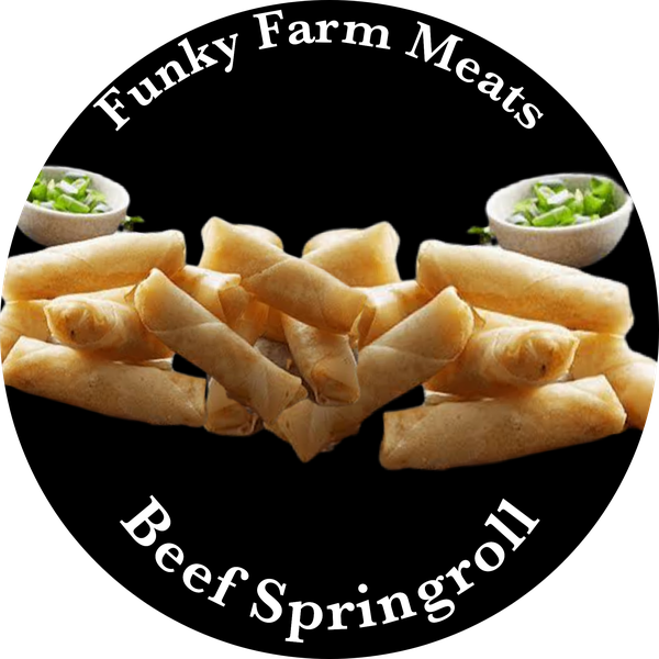 Cocktail Springroll Beef