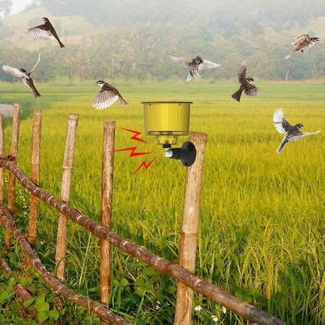 Solar Outdoor Animal Repeller Sound and Light Alarm Q-BJ900 - Red
