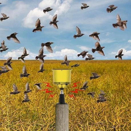 Solar Outdoor Animal Repeller Sound and Light Alarm Q-BJ900 - Red