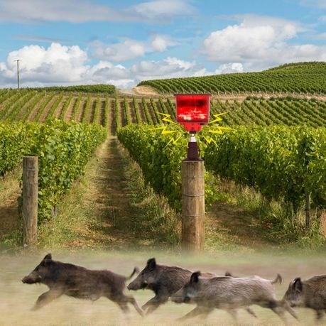 Solar Outdoor Animal Repeller Sound and Light Alarm Q-BJ900 - Red