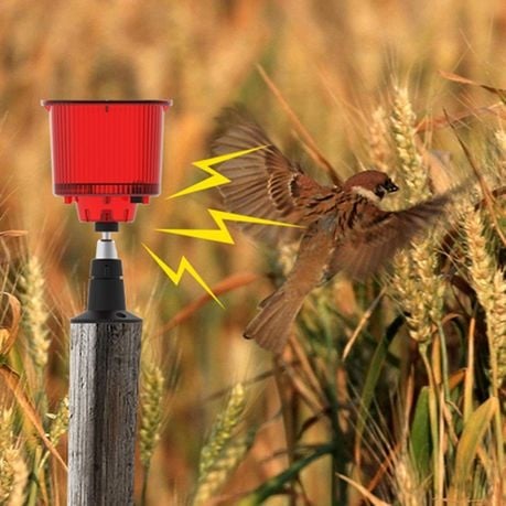 Solar Outdoor Animal Repeller Sound and Light Alarm Q-BJ900 - Red