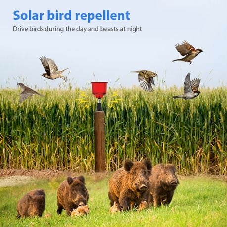 Solar Outdoor Animal Repeller Sound and Light Alarm Q-BJ900 - Red