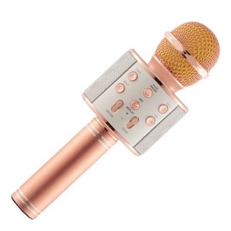 Wireless Microphone HiFi WS-858 Handheld Loud Speaker and Microphone