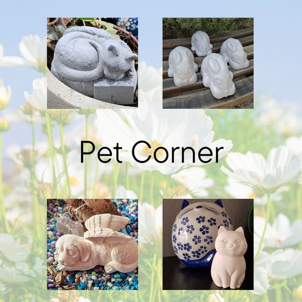Pet Corner picture