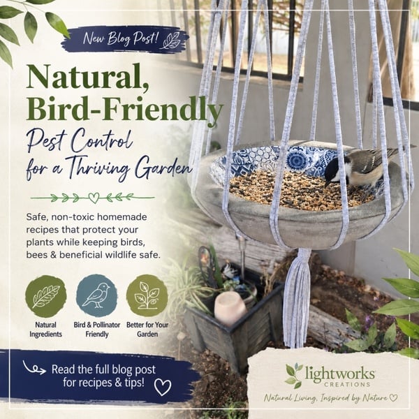 Natural, Bird-Friendly Garden Pest Control: Safe Homemade Solutions That Work picture