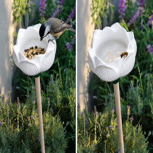 Petal Lotus Mini Feeder