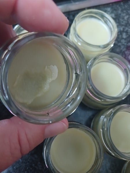 Herbal Salves and Lotions picture