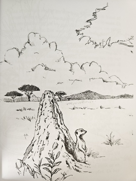 Stories uit Louis Leeu se bos Naomi van Schalkwyk