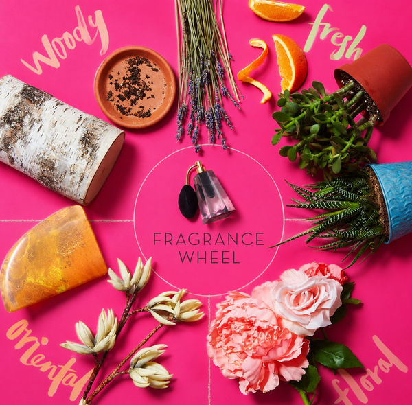 Fragrance wheel picture