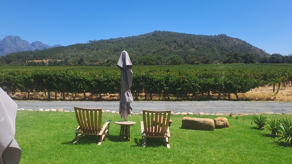 5-Day Cape Town and Winelands Experience