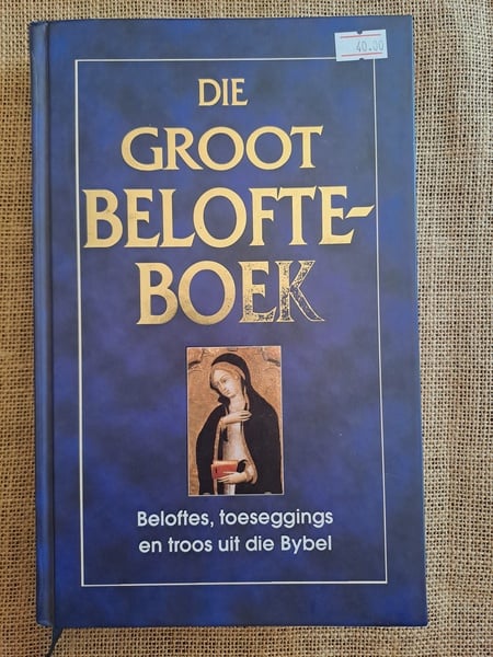 Die Groot Belofteboek