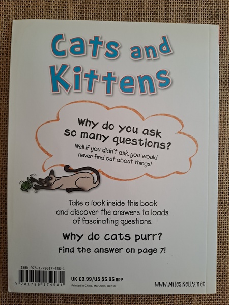 Cats and Kittens