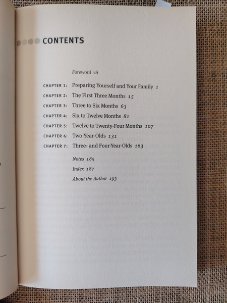 Busy Mom's Guide to Parenting Young Children