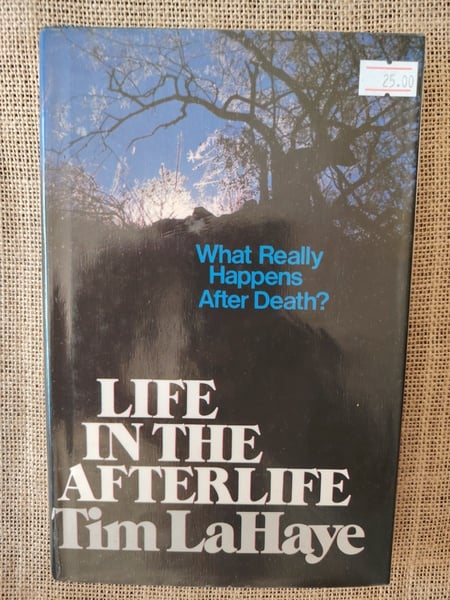 Life in the Afterlife