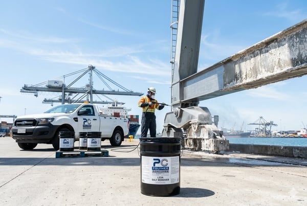 LSSR - Liquid  Soluble Salt Remediation System