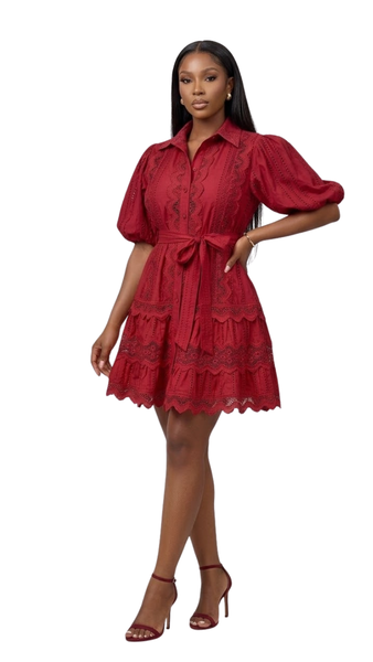 Broderie Anglaise Tiered Mini Shirt Dr