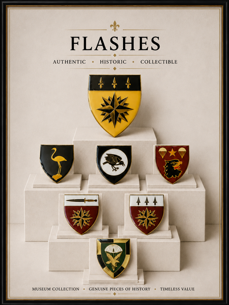 Flashes picture