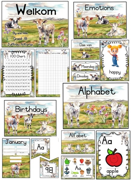 Cow classroom package  -- Koei klaskamer pakket