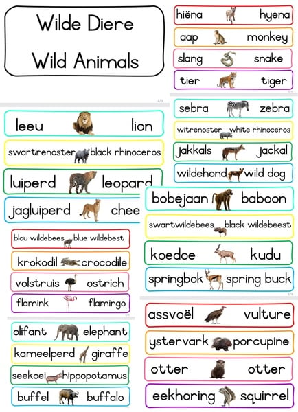 Wild Animals flashcards  -- Wilde diere flitskaarte