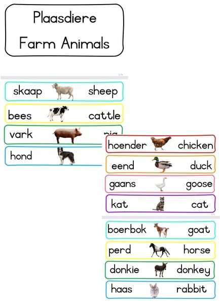 Farm Animals flashcards  -- Plaasdiere flitskaarte