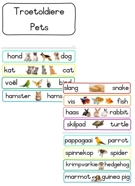 Flashcards Pets  -- Flitskaarte Troeteldiere