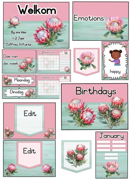 Baby Protea package  -- Baba Protea Pakket