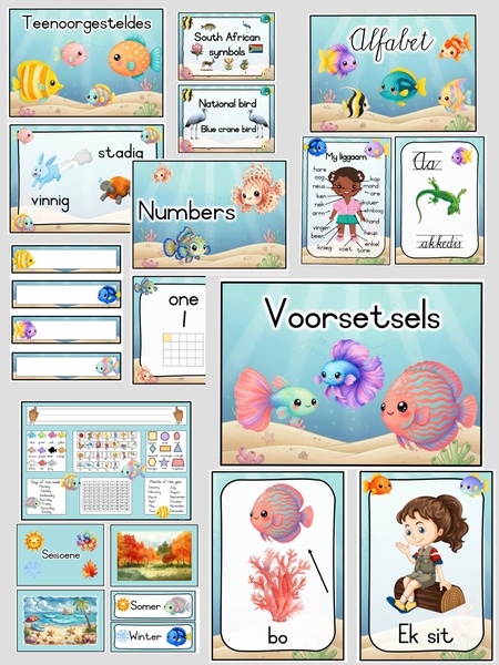 Vissie klaskamer pakket  -- Fish Classroom Package