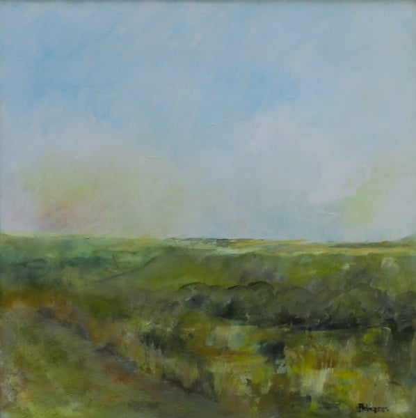 Karoo Vlaktes